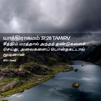 Picture 02 - யாத்திராகமம் 37:28 TAMIRV - சீத்திம் மரத்தால் - Bible Verse Picture