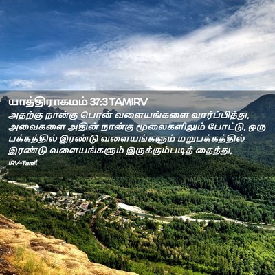 Picture 02 - யாத்திராகமம் 37:3 TAMIRV - அதற்கு நான்கு - Bible Verse Picture