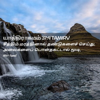 Picture 02 - யாத்திராகமம் 37:4 TAMIRV - சீத்திம் - Bible Verse Picture