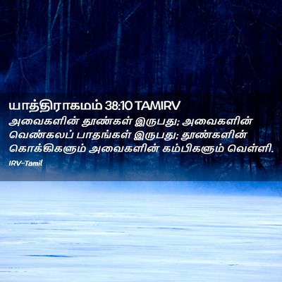 Picture 02 - யாத்திராகமம் 38:10 TAMIRV - அவைகளின் தூண்கள் - Bible Verse Picture