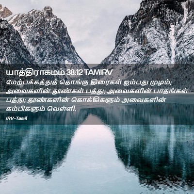 Picture 02 - யாத்திராகமம் 38:12 TAMIRV - மேற்பக்கத்துத் - Bible Verse Picture