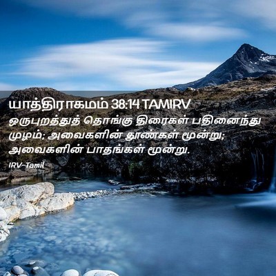Picture 02 - யாத்திராகமம் 38:14 TAMIRV - ஒருபுறத்துத் - Bible Verse Picture
