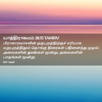 Picture 02 - யாத்திராகமம் 38:15 TAMIRV - பிராகாரவாசலின் - Bible Verse Picture