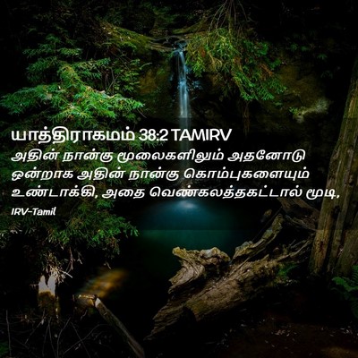 Picture 02 - யாத்திராகமம் 38:2 TAMIRV - அதின் நான்கு - Bible Verse Picture