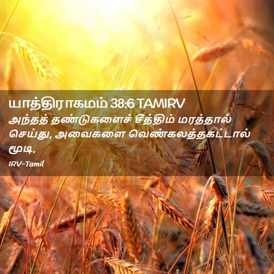 Picture 02 - யாத்திராகமம் 38:6 TAMIRV - அந்தத் தண்டுகளைச் - Bible Verse Picture