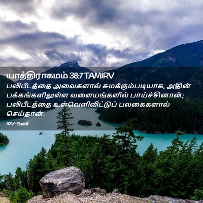 Picture 02 - யாத்திராகமம் 38:7 TAMIRV - பலிபீடத்தை - Bible Verse Picture