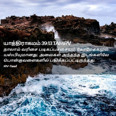 Picture 02 - யாத்திராகமம் 39:13 TAMIRV - நாலாம் வரிசை - Bible Verse Picture