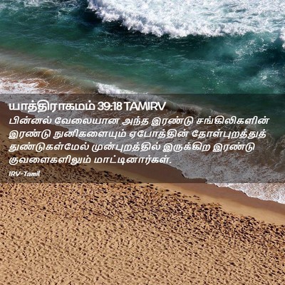 Picture 02 - யாத்திராகமம் 39:18 TAMIRV - பின்னல் வேலையான - Bible Verse Picture