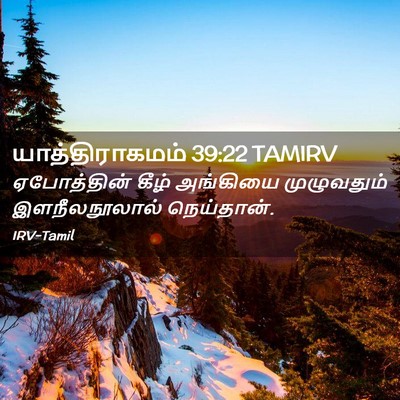 Picture 02 - யாத்திராகமம் 39:22 TAMIRV - ஏபோத்தின் கீழ் - Bible Verse Picture
