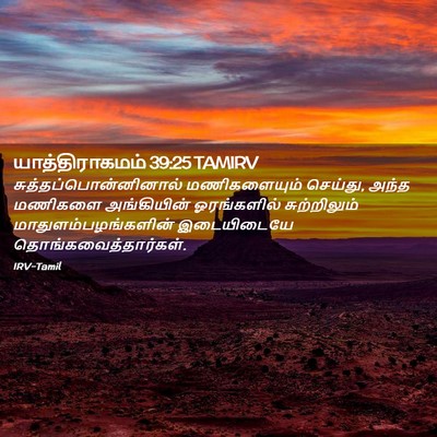 Picture 02 - யாத்திராகமம் 39:25 TAMIRV -  - Bible Verse Picture
