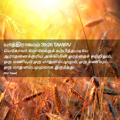 Picture 02 - யாத்திராகமம் 39:26 TAMIRV - யெகோவா மோசேக்குக் - Bible Verse Picture