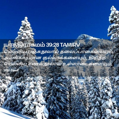 Picture 02 - யாத்திராகமம் 39:28 TAMIRV - மெல்லிய - Bible Verse Picture