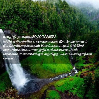 Picture 02 - யாத்திராகமம் 39:29 TAMIRV - திரித்த மெல்லிய - Bible Verse Picture