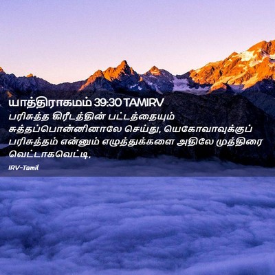Picture 02 - யாத்திராகமம் 39:30 TAMIRV - பரிசுத்த - Bible Verse Picture
