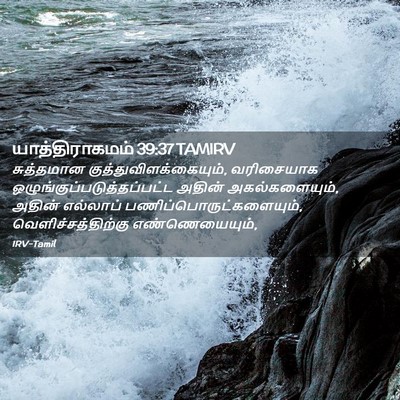 Picture 02 - யாத்திராகமம் 39:37 TAMIRV - சுத்தமான - Bible Verse Picture