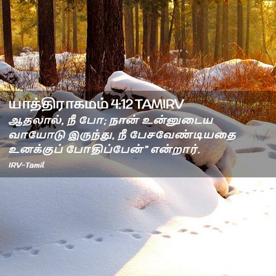 Picture 02 - யாத்திராகமம் 4:12 TAMIRV - ஆதலால், நீ போ; நான் - Bible Verse Picture