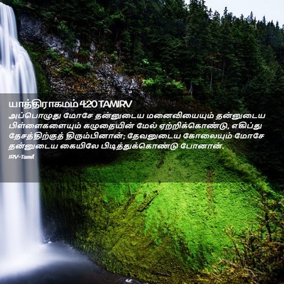 Picture 02 - யாத்திராகமம் 4:20 TAMIRV - அப்பொழுது மோசே - Bible Verse Picture