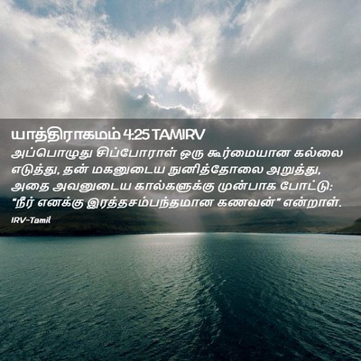 Picture 02 - யாத்திராகமம் 4:25 TAMIRV - அப்பொழுது - Bible Verse Picture