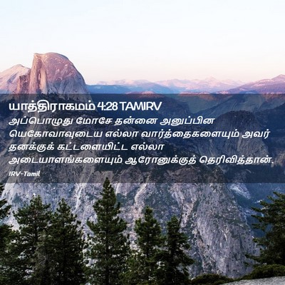 Picture 02 - யாத்திராகமம் 4:28 TAMIRV - அப்பொழுது மோசே - Bible Verse Picture