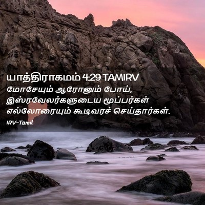 Picture 02 - யாத்திராகமம் 4:29 TAMIRV - மோசேயும் ஆரோனும் - Bible Verse Picture