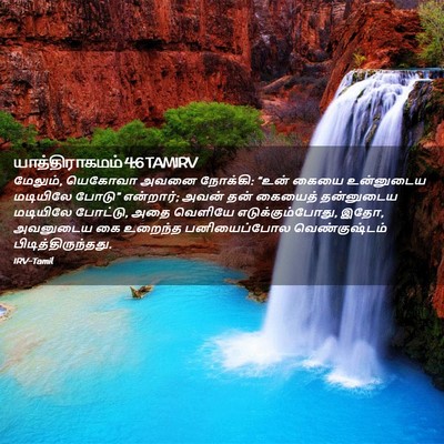 Picture 02 - யாத்திராகமம் 4:6 TAMIRV - மேலும், யெகோவா - Bible Verse Picture