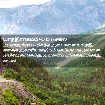 Picture 02 - யாத்திராகமம் 40:13 TAMIRV - ஆரோனுக்குப் - Bible Verse Picture