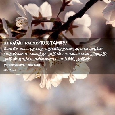 Picture 02 - யாத்திராகமம் 40:18 TAMIRV - மோசே கூடாரத்தை - Bible Verse Picture
