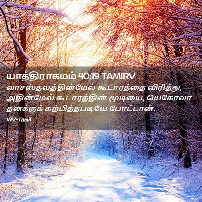 Picture 02 - யாத்திராகமம் 40:19 TAMIRV -  - Bible Verse Picture