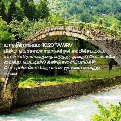 Picture 02 - யாத்திராகமம் 40:20 TAMIRV - பின்பு, யெகோவா - Bible Verse Picture