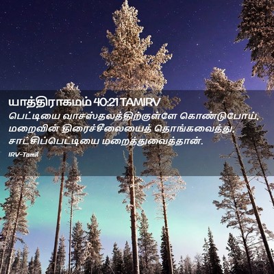 Picture 02 - யாத்திராகமம் 40:21 TAMIRV - பெட்டியை - Bible Verse Picture