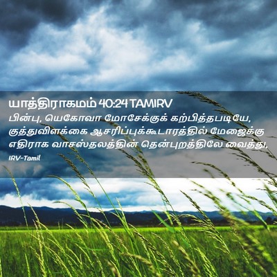 Picture 02 - யாத்திராகமம் 40:24 TAMIRV - பின்பு, யெகோவா - Bible Verse Picture