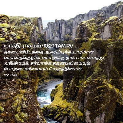 Picture 02 - யாத்திராகமம் 40:29 TAMIRV - தகனபலிபீடத்தை - Bible Verse Picture