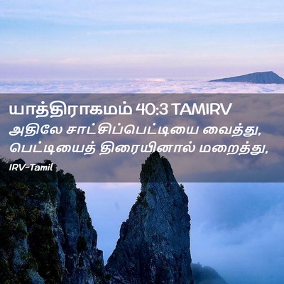 Picture 02 - யாத்திராகமம் 40:3 TAMIRV - அதிலே - Bible Verse Picture