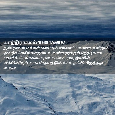Picture 02 - யாத்திராகமம் 40:38 TAMIRV - இஸ்ரவேல் மக்கள் - Bible Verse Picture