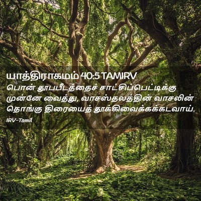 Picture 02 - யாத்திராகமம் 40:5 TAMIRV - பொன் தூபபீடத்தைச் - Bible Verse Picture