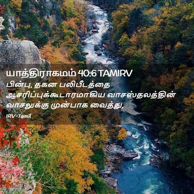 Picture 02 - யாத்திராகமம் 40:6 TAMIRV - பின்பு, தகன - Bible Verse Picture