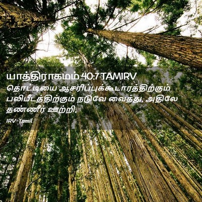 Picture 02 - யாத்திராகமம் 40:7 TAMIRV - தொட்டியை - Bible Verse Picture