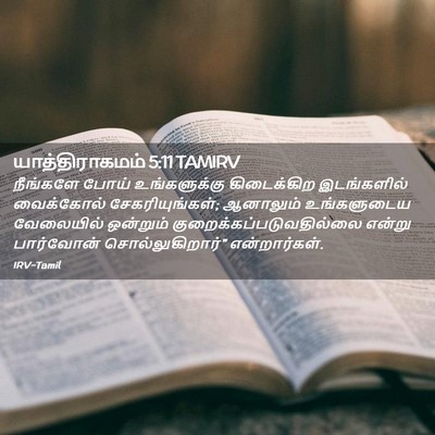Picture 02 - யாத்திராகமம் 5:11 TAMIRV - நீங்களே போய் - Bible Verse Picture