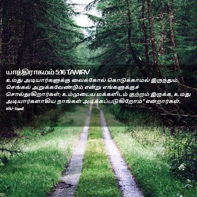 Picture 02 - யாத்திராகமம் 5:16 TAMIRV - உமது - Bible Verse Picture