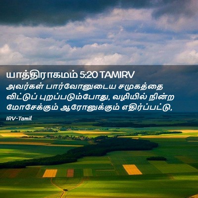 Picture 02 - யாத்திராகமம் 5:20 TAMIRV - அவர்கள் - Bible Verse Picture