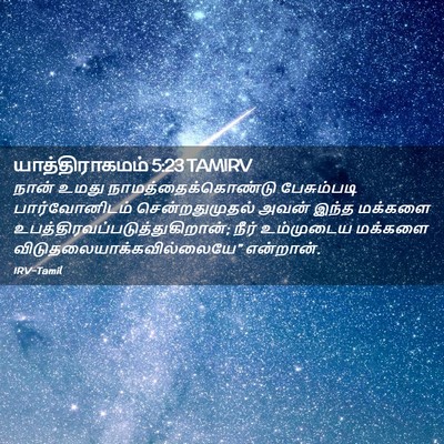 Picture 02 - யாத்திராகமம் 5:23 TAMIRV - நான் உமது - Bible Verse Picture