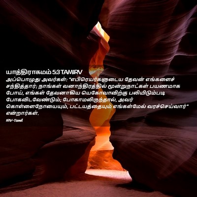 Picture 02 - யாத்திராகமம் 5:3 TAMIRV - அப்பொழுது - Bible Verse Picture