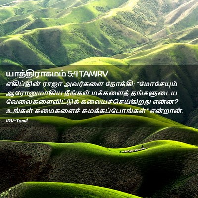 Picture 02 - யாத்திராகமம் 5:4 TAMIRV - எகிப்தின் ராஜா - Bible Verse Picture