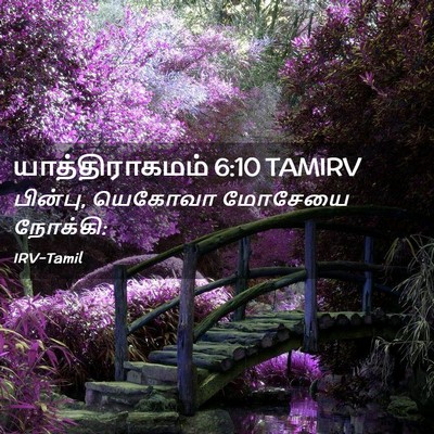 Picture 02 - யாத்திராகமம் 6:10 TAMIRV - பின்பு, யெகோவா - Bible Verse Picture