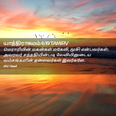 Picture 02 - யாத்திராகமம் 6:19 TAMIRV - மெராரியின் - Bible Verse Picture