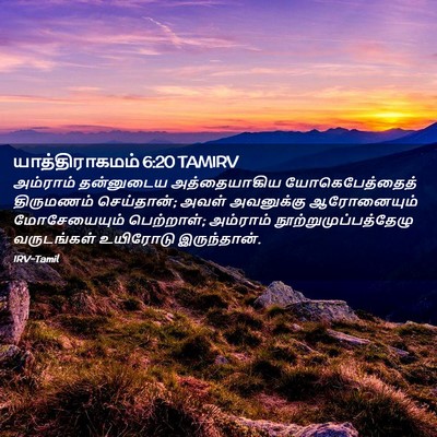 Picture 02 - யாத்திராகமம் 6:20 TAMIRV - அம்ராம் தன்னுடைய - Bible Verse Picture