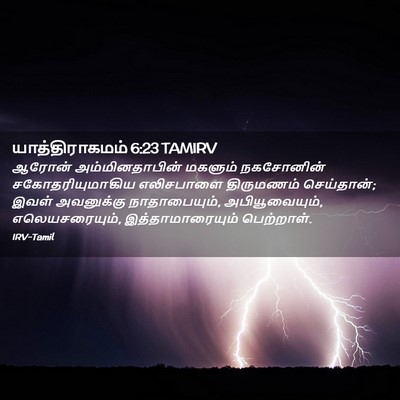 Picture 02 - யாத்திராகமம் 6:23 TAMIRV - ஆரோன் - Bible Verse Picture