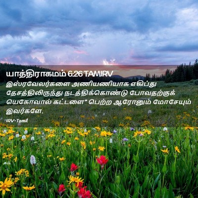 Picture 02 - யாத்திராகமம் 6:26 TAMIRV - இஸ்ரவேலர்களை - Bible Verse Picture