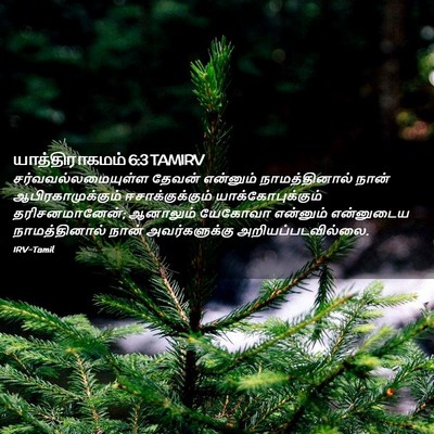 Picture 02 - யாத்திராகமம் 6:3 TAMIRV - சர்வவல்லமையுள்ள - Bible Verse Picture