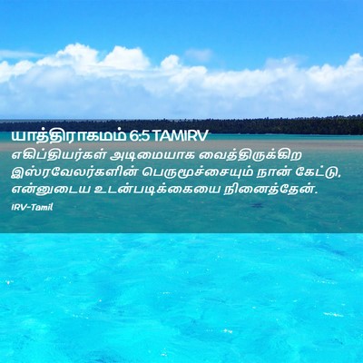 Picture 02 - யாத்திராகமம் 6:5 TAMIRV - எகிப்தியர்கள் - Bible Verse Picture